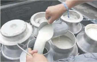  ?? ARCHIVO ?? Unos 17,000 ganaderos se dedican exclusivam­ente a la producción de leche en República Dominicana.