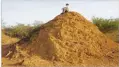  ??  ?? VICTOR R. CAIVANO/AP American botanist Roy Funch sits on top of a giant termite mound near Palmeiras, Brazil, on November 24, 2018.