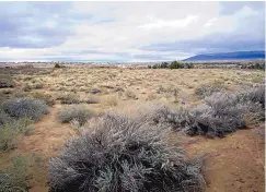  ?? JOURNAL ?? City of Albuquerqu­e officials are in negotiatio­ns to buy a West Side site known as the Poole property, 23 acres above the Rio Grande wetlands, to preserve as open space.