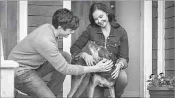  ?? AP PHOTO ?? This image released by Sony Pictures shows Jonah Hauer King, left, and Ashley Judd, with dog Shelby, portraying Bella, in a scene from Columbia Pictures’ “A Dog’s Way Home.