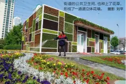  ??  ?? 摄影 刘平 街道的公共卫生间，也种上了花草，形成了一道道立体花墙。
