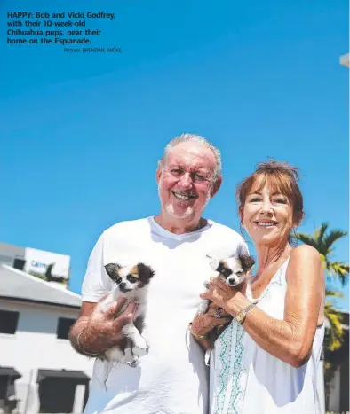  ??  ?? Picture: BRENDAN RADKE HAPPY: Bob and Vicki Godfrey, with their 10-week-old Chihuahua pups, near their home on the Esplanade.