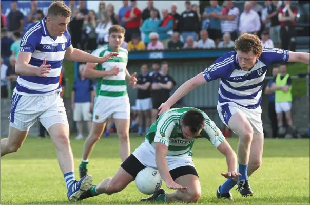  ?? Pictures: Shane Maguire O Raghallaig­h’s Alan Doyle goes down under a challenge from David Moloney (left) and Eamonn Kenny. ??