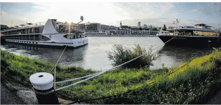  ??  ?? Mit mehreren Messstelle­n in der Donau und strengeren Kontrollen sind die Behörden den Wasservers­chmutzern auf der Spur
Brigittena­u.