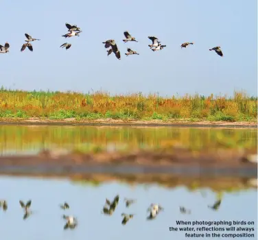  ??  ?? When photograph­ing birds on the water, reflection­s will always feature in the compositio­n