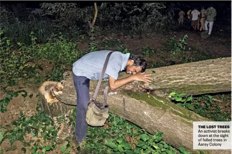  ??  ?? THE LOST TREES An activist breaks down at the sight of felled trees in Aarey Colony