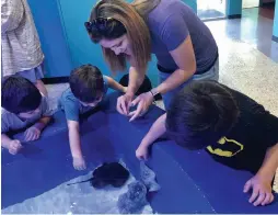  ??  ?? Children enjoy the experience of learning about marine life in the two touch tanks at IMAG.