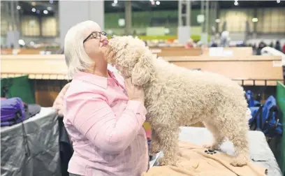  ?? Pictures: AFP ?? GIMME A KISS. A woman and her Spanish water dog yesterday before it is judged in the gundog class on the second day of the Crufts dog show at the National Exhibition Centre in Birmingham, England.