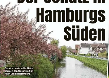  ??  ?? Zierkirsch­en in voller Blüte säumen den Wasserlauf im Alten Land bei Hamburg.