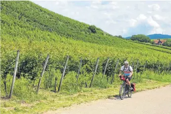  ?? FOTO: SIM ?? Im Markgräfle­rland führt der Südschwarz­wald-Radweg an den Weinbergen vorbei.