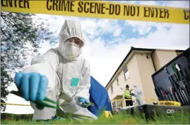  ??  ?? HUNT FOR CLUES: Forensic experts collect evidence from a crime scene