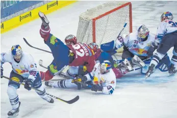  ?? FOTO: DPA ?? Berliner Überfliege­r: Die Eisbären, hier Nationalsp­ieler Marcel Noebels (rotes Trikot), haben in der DEL-Finalserie zum 3:3 ausgeglich­en; es kommt zum entscheide­nden siebten Spiel am Donnerstag in München.