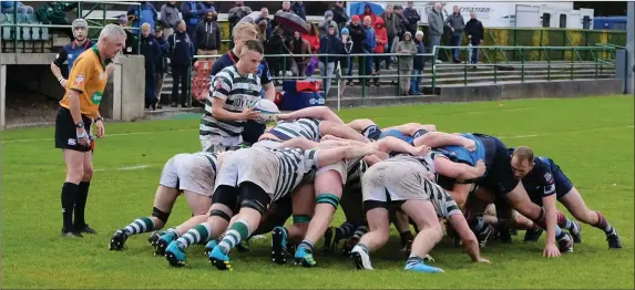  ??  ?? Greystones prepare to put into a scrum during the AIL Division 2B clash with Belfast Harlequins.