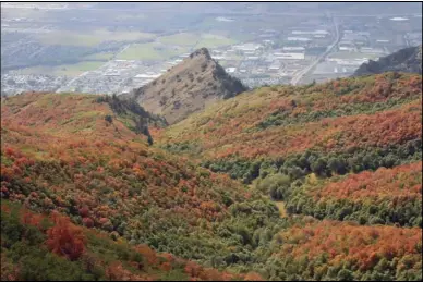  ??  ?? Fall colors are seen in this photo which shows the view down Little Rock Canyon.