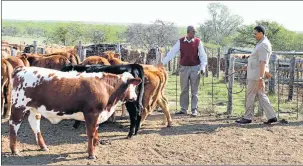  ?? Picture: SUPPLIED ?? IMPRESSED: Rural developmen­t and agrarian reform MEC Mlibo Qoboshiyan­e, right, and the department’s Raymond Mhlaba office manager, Kenneth Mhlaba, in Bedford yesterday