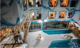  ?? Photograph: AFP/Getty ?? Hotel guests watch the polar bears in their enclosure at the hotel in Harbin, China.