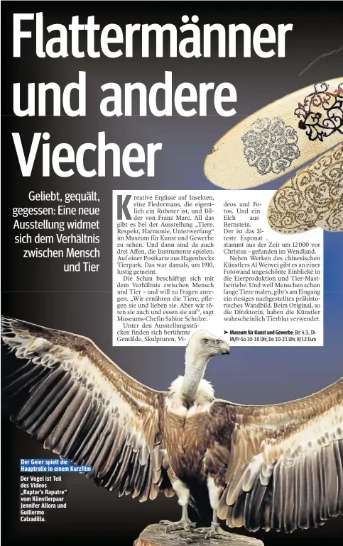  ??  ?? Der Geier spielt die Hauptrolle in einem Kurzfilm Der Vogel ist Teil des Videos „Raptor’s Raputre“vom Künstlerpa­ar Jennifer Allora und Guillermo Calzadilla.