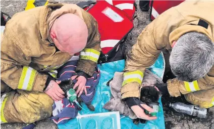  ??  ?? ● Firefighte­rs treated two cats at the scene with oxygen after a house fire on Leaside in Halton Brook, Runcorn