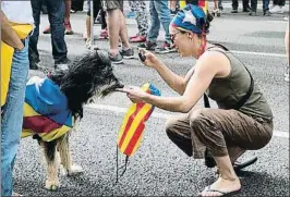  ?? MARTA PÉREZ / EFE ?? Una manifestan­te fotografía a un perro cubierto con la estelada