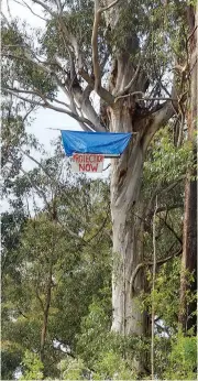  ??  ?? The protestor’s temporary sit-in shelter perched 20 metres above ground protesting about logging in the Mount Baw Baw area last week is support of a campaign to end native forest harvesting in Victoria.