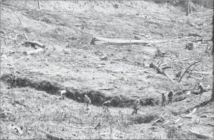  ?? Foto Carlos Ramos Mamahua ?? En imagen de archivo, trabajos comunitari­os en el bosque de la Trinidad, en Oaxaca