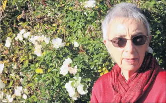  ?? PHOTO: HAMISH MACLEAN ?? A rose by any other name . . . Sitting among the heritage roses at Oamaru’s old jail stables is Oamaru’s Val Clarke, who has been awarded the New Zealand Rose Award for services to the rose in New Zealand.