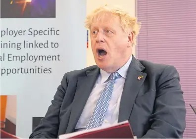  ?? ?? PRESSURE: Prime Minister Boris Johnson and his government have been labelled “inept”.