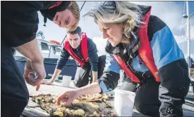  ?? Photograph: SAMS ?? Prof Elizabeth Cottier-Cook, who has won the Outstandin­g Contributi­on prize at the Women in Scottish Aquacultur­e (WiSA) Awards.