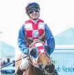  ??  ?? Rocknet, with jockey Nathan Day, after winning the Cairns Amateurs last year.