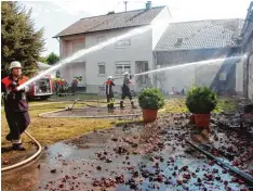  ?? Foto: Benjamin Reif ?? Über 230 Einsatzkrä­fte der Feuerwehr waren im Einsatz. Die Nachlöscha­rbeiten dau erten bis in die Nacht.