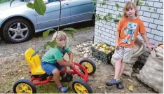  ?? Fotos: Krämer ?? Lukas und Karl haben Äpfel bei ihren Großeltern gesammelt. Jetzt freuen sie sich auf den Apfelstrud­el.