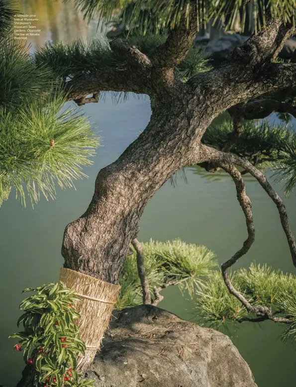  ??  ?? A lakeside pine tree at KiyosumiSh­irakawa’s Kiyosumi Teien gardens. Opposite: The bar at Yanaka Beer Hall.