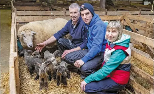  ??  ?? Thomas, Bernie and Gavin Rafter with the six lambs at their farm in Ballindagg­in.