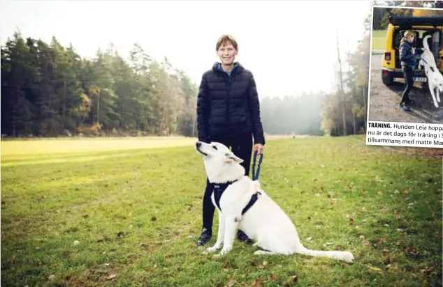  ?? FOTO: MIKAEL ANDERSSON ?? DAGS ATT DRA. ”Hunden Leia har svårt att vara tyst när hon får på sig selen, då vill hon ut i spåret och dra”, säger Marianne Nordahl.