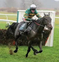  ??  ?? Buveur D’Air and Barry Geraghty on the way to victory at NewcastleP­A