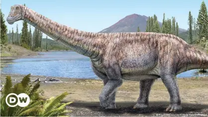  ??  ?? Modelo del Arackar Licanantay, el dinosaurio presentado hoy en Chile