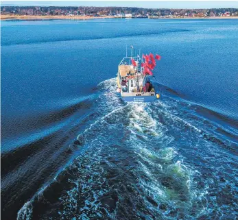  ?? FOTOS: JENS BÜTTNER/DPA ?? Der Kutter „Seewolf“von Fischer Dirk Baumann steuert nach dem Heringsfan­g im Greifswald­er Bodden den Hafen von Freest an.