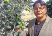  ?? HT PHOTO ?? Professor Shyam Sunder Jyani, a teacher at the Government Dungar College in Bikaner, shows one of his trees.