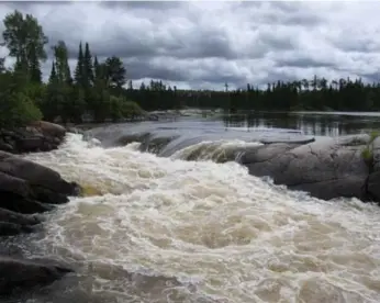  ?? TODD KOROL/TORONTO STAR ?? The report condemned inaction on mercury poisoning in the Grassy Narrows and Wabaseemoo­ng First Nations.