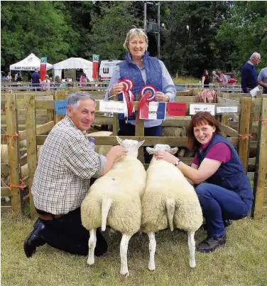 ??  ?? Multiple winners Mains of Dalrulzion champion prime lambs with, from left, David and Elizabeth Stewart and Fiona Burke