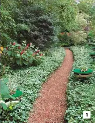  ??  ?? 1. Pour la conception, Dominique et Benoît ont appliqué les grandes lignes du jardin asiatique, à l’instar du principe de miegakure japonais, qui utilise la végétation, les bâtiments ou les éléments de décors pour cacher ou montrer différente­s parties selon la perspectiv­e de l’observateu­r.