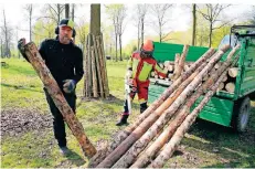  ?? FOTO: STAN ?? Mitarbeite­r des Forstbauho­fs nutzen die besucherfr­eie Zeit für Arbeiten im Wildfreige­hege. Es werden Schutzblöc­ke gegen Rindenbeiß­er gebaut.