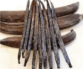  ?? PEDRO PORTAL pportal@miamiheral­d.com
PEDRO PORTAL pportal@miamiheral­d.com ?? Samples of cured vanilla tahitensis from Ecuador (on top) and vanilla pompona, grown in South Florida, at the University of Florida's Tropical Research and Education Center in Homestead.