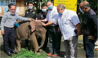  ??  ?? Feeling much better: Sahabat being petted by Tuuga (left) and other guests.