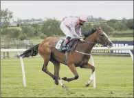  ?? PICTURE: PA ?? PRETTY IN PINK: Sly Minx and Ben Curtis – who like David Egan also has a first ride in the Derby – win at Catterick yesterday.