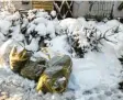  ?? Foto: Angela David ?? Christbaum, gelbe Säcke und jede Menge Schnee – so sieht es derzeit vor vielen Häusern aus, denn die Abholung wurde verschoben.