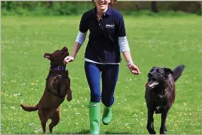  ?? ?? Keep up! Jo Davies offers dog-walking, pet-sitting and even a pet taxi