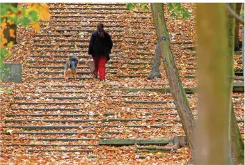  ?? FOTO: JENS BÜTTNER/DPA ?? Der Herbst ist da: Eine Frau spaziert mit ihrem Hund über eine mit Laub bedeckte Treppe. Viele Menschen wird wohl in den kommenden Wochen wieder die Schwermut packen.