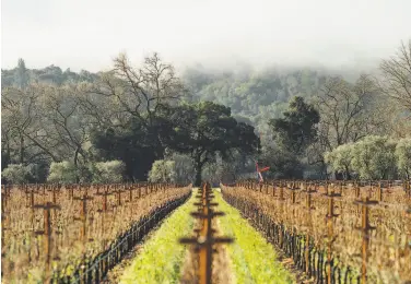  ?? Matt Morris ?? Suzanne Deal Booth has purchased a third property in Napa Valley as she builds her Bella Oaks Vineyard business. The addition of this property at 1271 Manley Lane in Rutherford brings Booth’s total holdings to 32.6 acres.