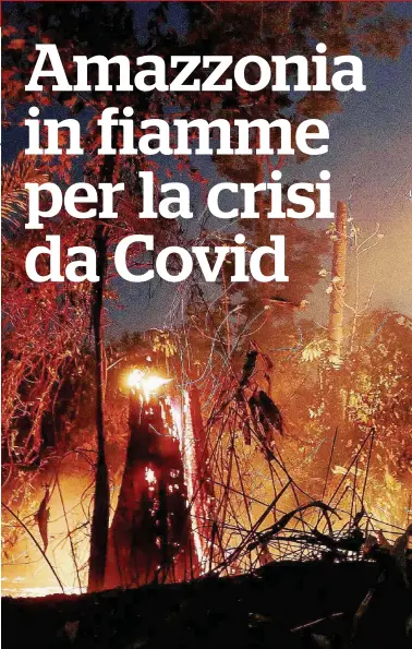  ?? Ansa ?? La lobby
Con la crisi da Covid i latifondis­ti hanno ripreso ad incendiare la foresta Amazzonica. La “bancada ruralista” è la lobby parlamenta­re dei proprietar­i che ha sostenuto Bolsonaro